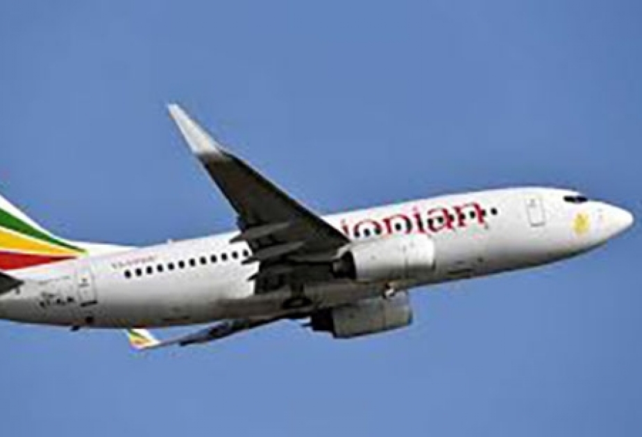 Приостановка полетов Boeing 737 MAX 8 докатилась и до Чехии