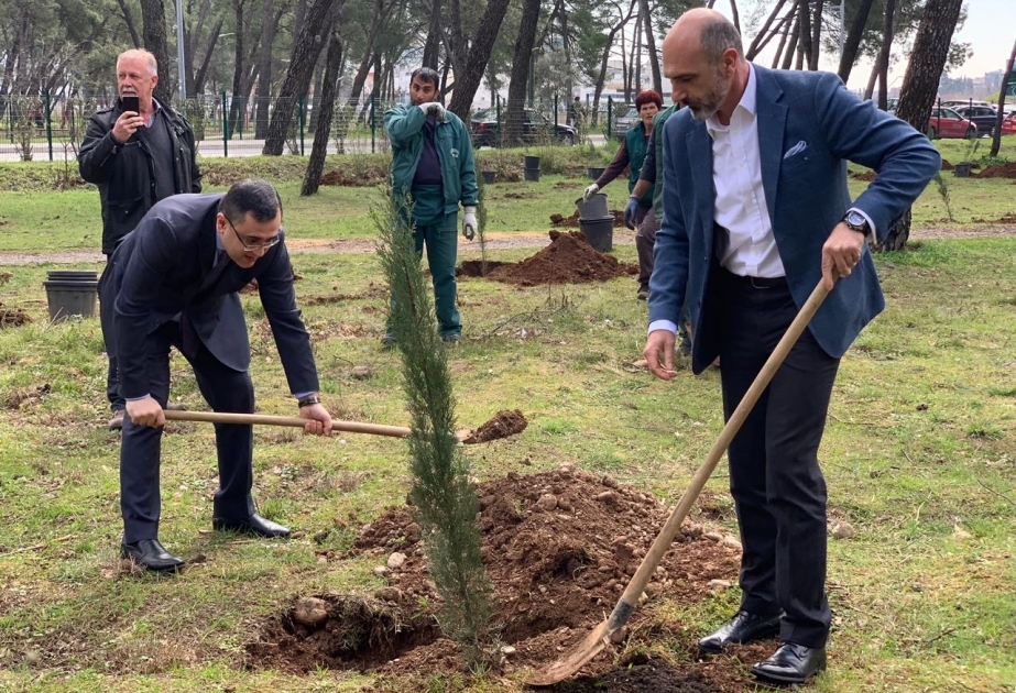 Azərbaycan diplomatik xidmətinin 100 illiyi ilə bağlı Podqoritsanın parklarında xatirə ağacları əkilib VİDEO