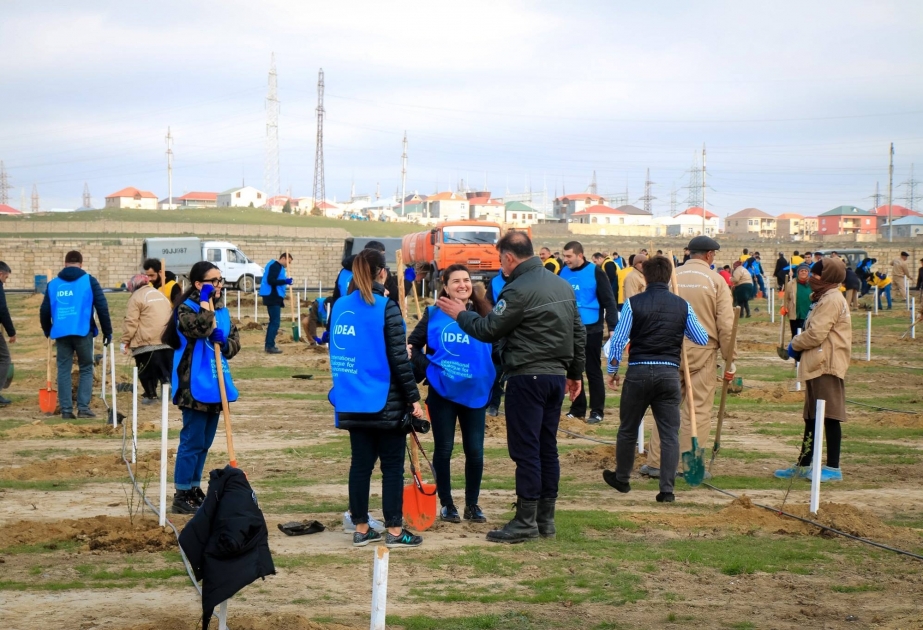 Zığ - Heydər Əliyev Beynəlxalq Aeroportu avtomobil yolunun ətrafında 1600 badam ağacı əkilib  YENİLƏNİB