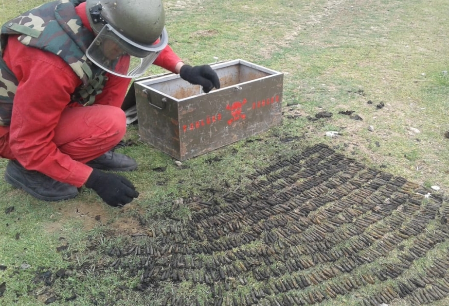 Yevlax rayonunda 1063 patron və korroziyaya uğramış avtomat aşkarlanıb