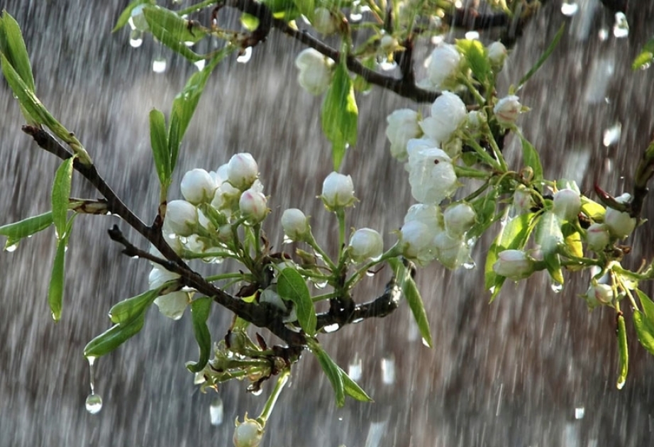 В первый день праздника Новруз в столице ожидается переменный дождь