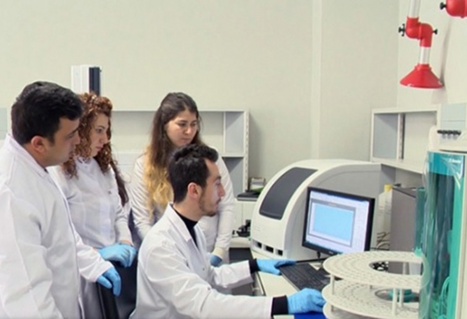 Naxçıvanda gömrük əməkdaşları üçün növbəti kurs təşkil olunub