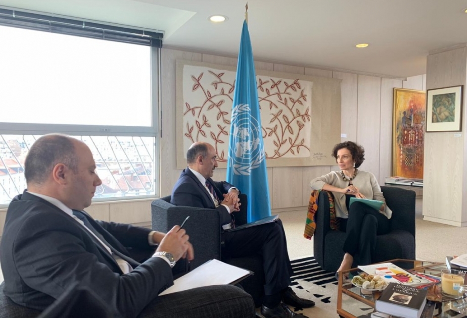 Azərbaycan və UNESCO əlaqələrinin hazırkı vəziyyəti müzakirə edilib