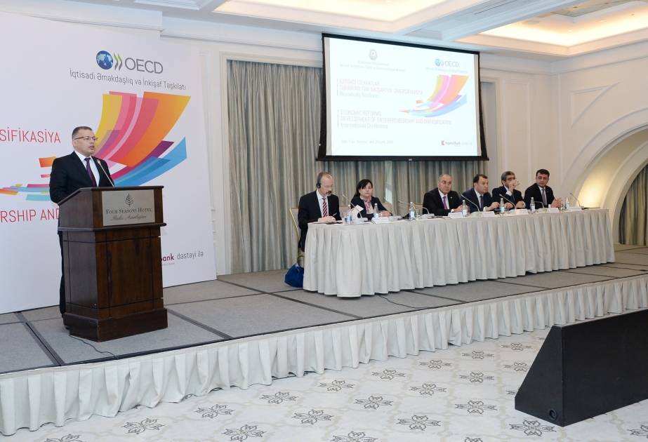 Avrasiya regionu və OECD ölkələri arasında əlaqələrin möhkəmləndirilməsi müzakirə olunub YENİLƏNİB VİDEO