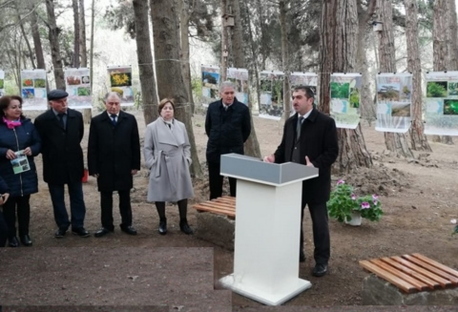 “Qafqaz florasının nadir bitkiləri” mövzusunda sərgi