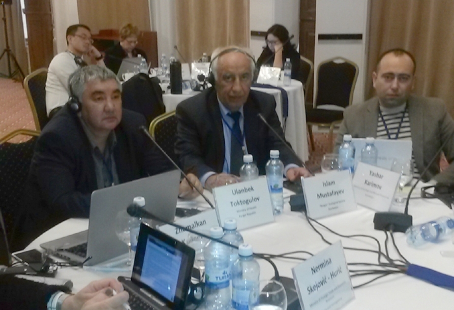 Azərbaycanlı alimin BMT-nin regional seminarında məruzəsi dinlənilib