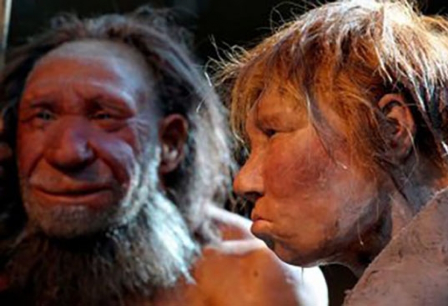 Ученые: Неандертальцы стали каннибалами из-за климатических изменений