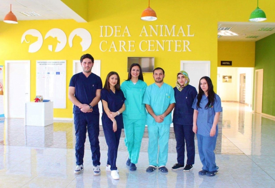 IDEA Heyvanlara Qayğı Mərkəzinin yeni baytar heyəti fəaliyyətə başlayıb