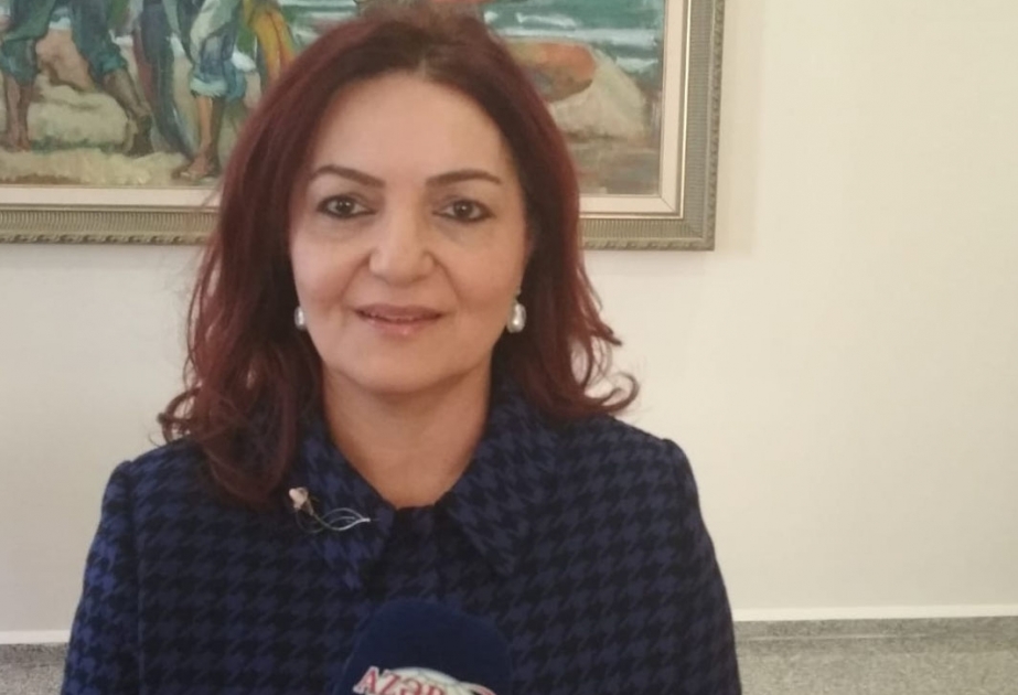 Professor Aygün Əttar: Ermənistan müdafiə nazirinin fikirləri beynəlxalq hüquqa həqarətdir