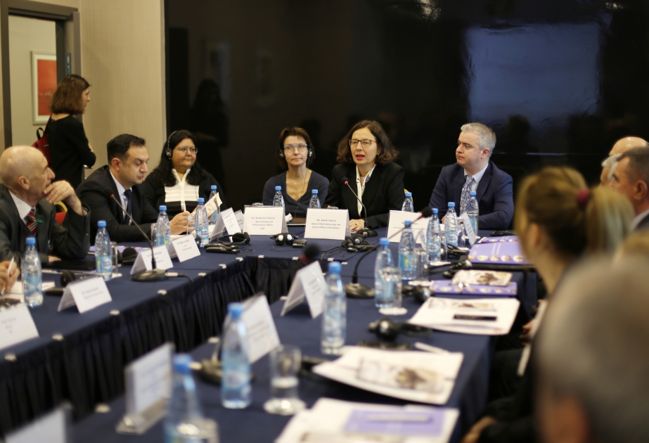 FAO holds stakeholder consultation meeting on development of sheep breeding sector