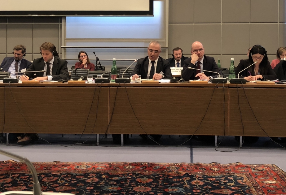 Etibar Nəcəfov: ATƏT Avropada multikulturalizmi təşviq etmək üçün əlindən gələni etməlidir