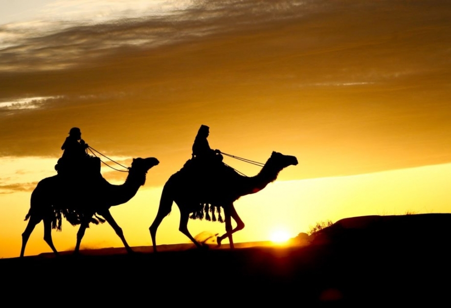 Верхом на верблюде по пути Пророка Мухаммеда
