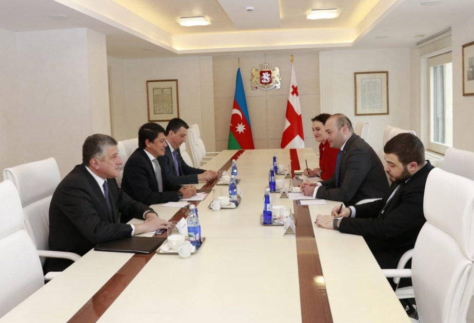 Dövlət Komitəsinin sədri Gürcüstanın Baş naziri və parlamentin vitse-spikeri ilə görüşüb