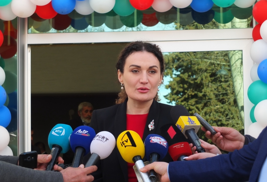 Gürcü nazir: Azərbaycan Gürcüstanın strateji tərəfdaşıdır