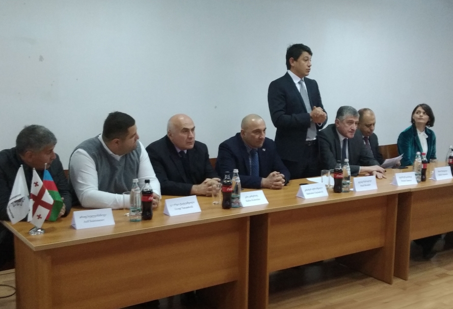 与居住在格鲁吉亚德马尼西区的阿塞拜疆人举行见面会
