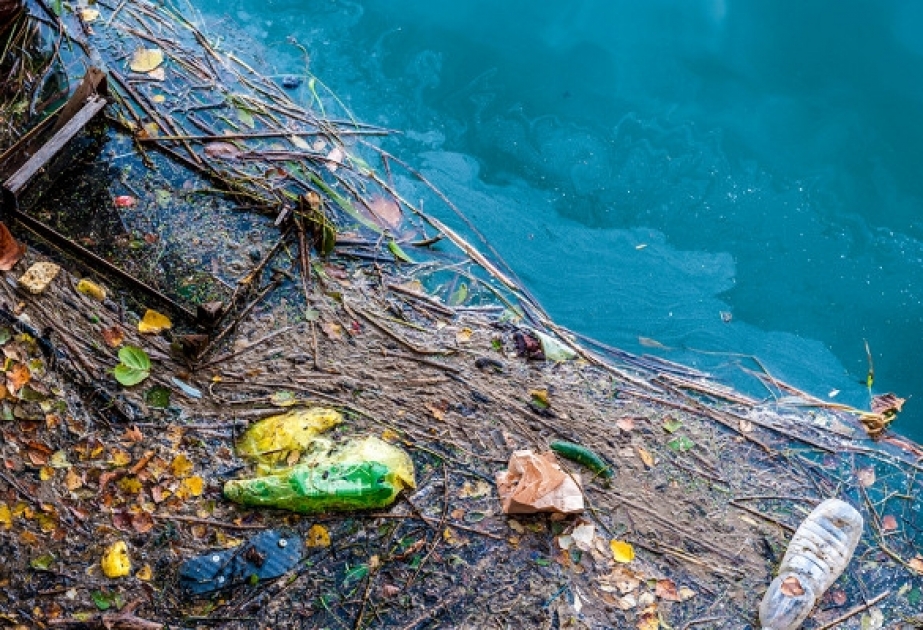 Из-за пагубного воздействия пластика ценность выгод, получаемых от океанов, сократится на 1–5 процента