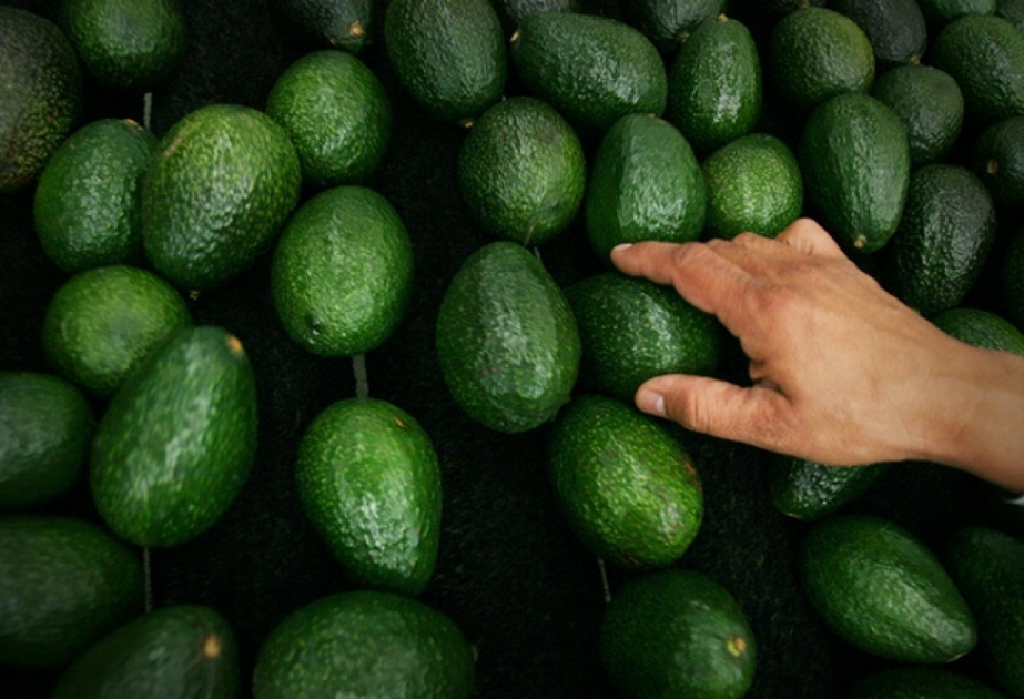 Стоимость авокадо в США увеличилась на треть за один день