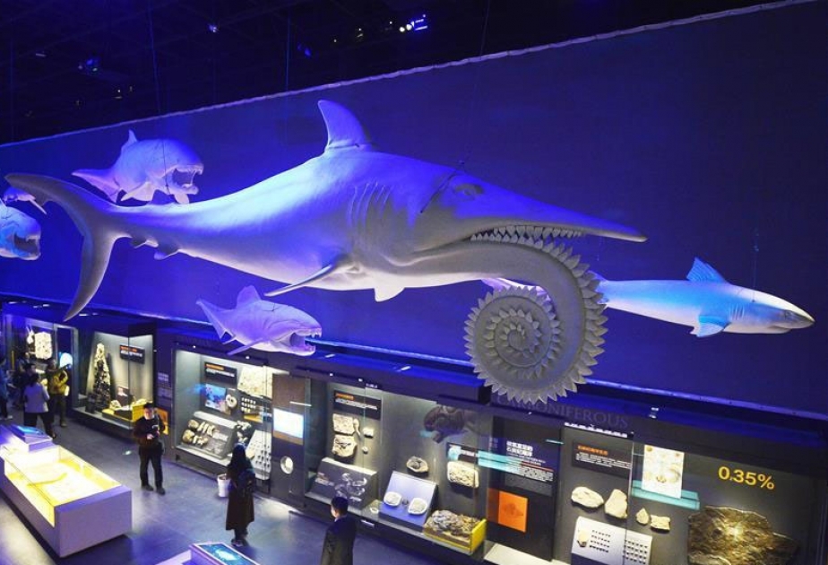 В Китае создается Национальный музей морей и океанов