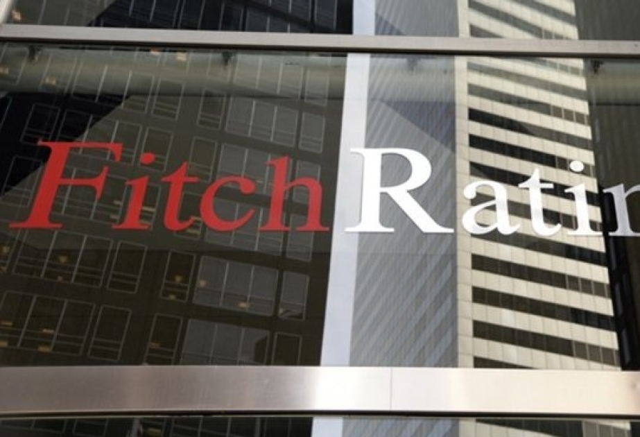 Fitch прогнозирует снижение спроса на нефть в 2019 году