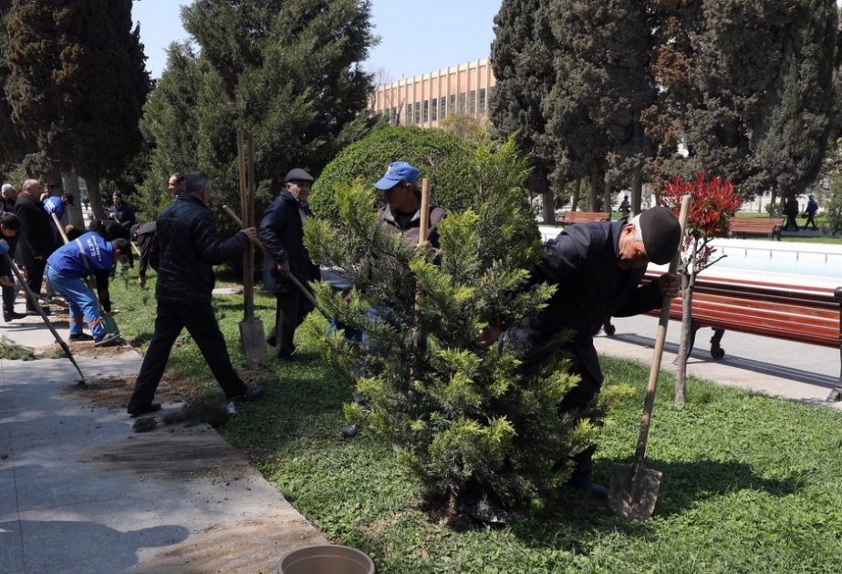 Ölkəmizin on milyonuncu sakininin doğulması münasibətilə paytaxtın Sahil parkında 200 ağac əkilib
