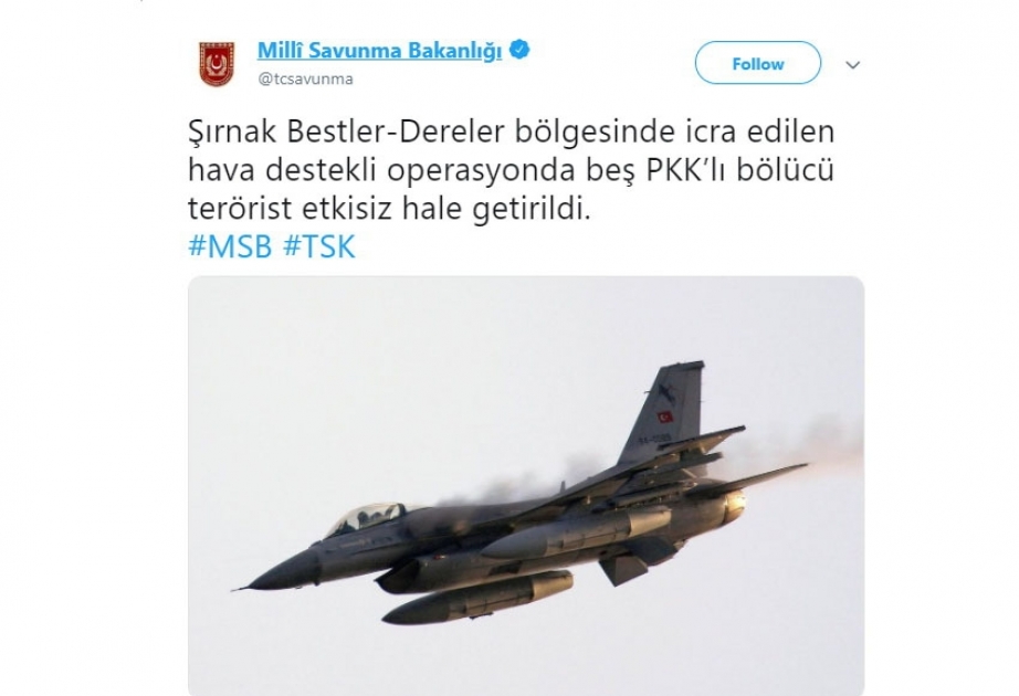 Türkiyədə beş PKK terrorçusu zərərsizləşdirilib