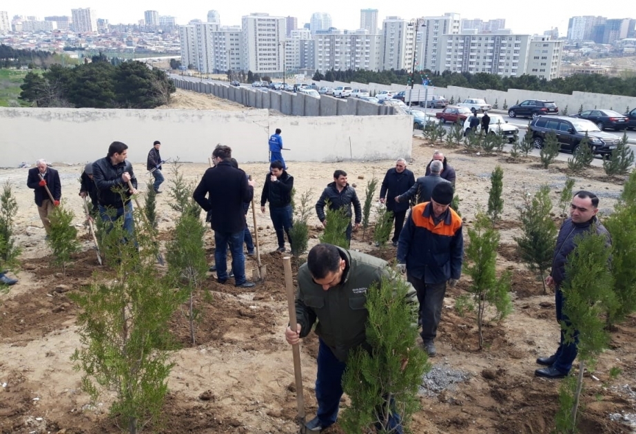 10 milyonuncu sakininin dünyaya gəlməsi münasibətilə ölkə ərazisində 25 minə yaxın ağac əkilib