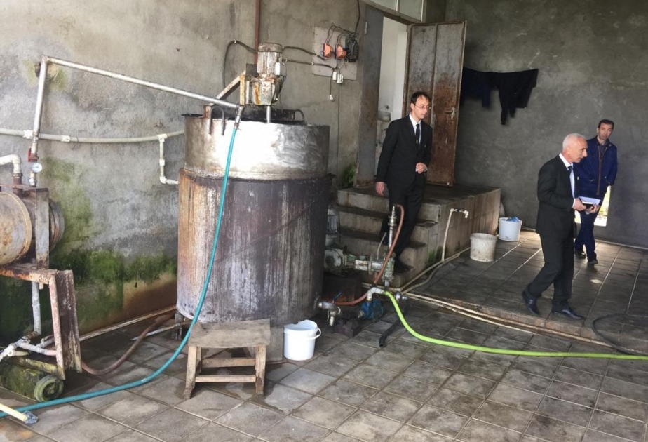 Masallıda antisanitar şəraitdə pendir istehsal edən sex aşkarlanıb