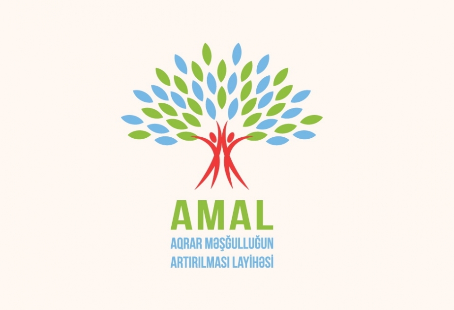 AMAL-çılar üçün təlimlər başlayır