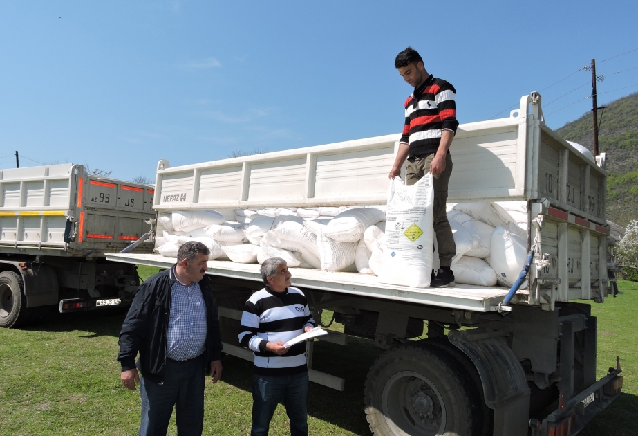 Qaxlı fermerlərə güzəştli şərtlərlə 24 tonadək mineral gübrə satılıb