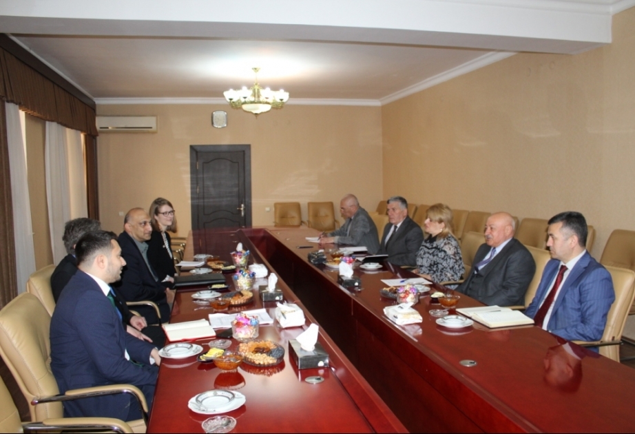 USAID-in nümayəndə heyəti Masallıda kiçik və orta bizneslə məşğul olan qadın sahibkarlarla görüşüblər