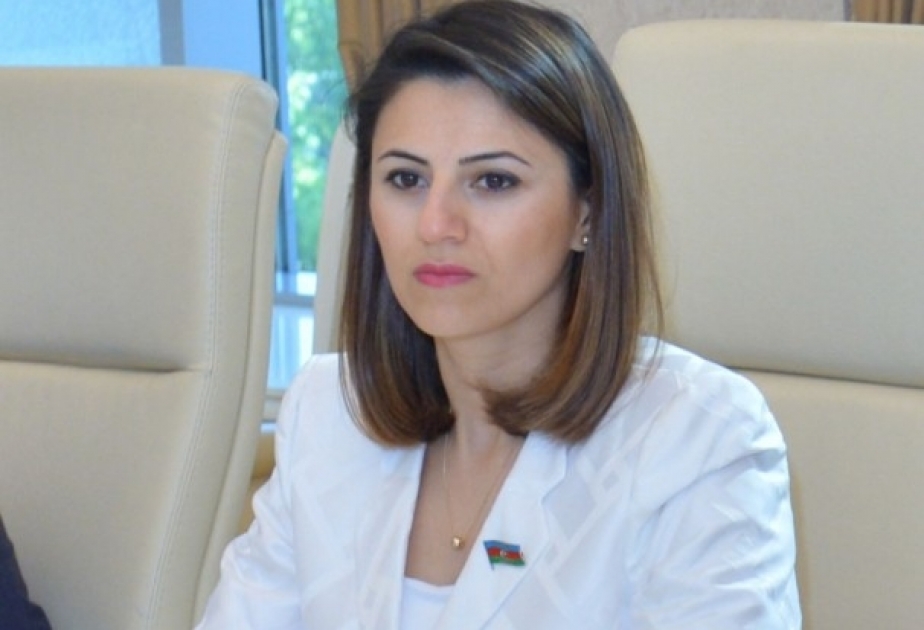 Sevinc Fətəliyeva: Prezident İlham Əliyevin uğurlu xarici siyasəti nəticəsində milli maraqlarımız tam təmin edilib
