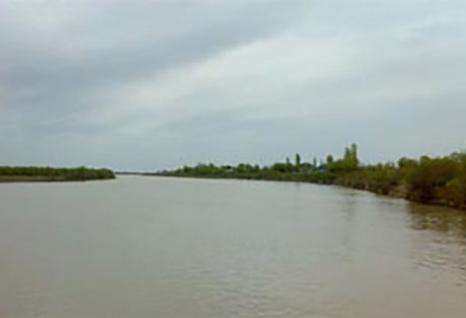 В Куре поймали океаническую рыбу