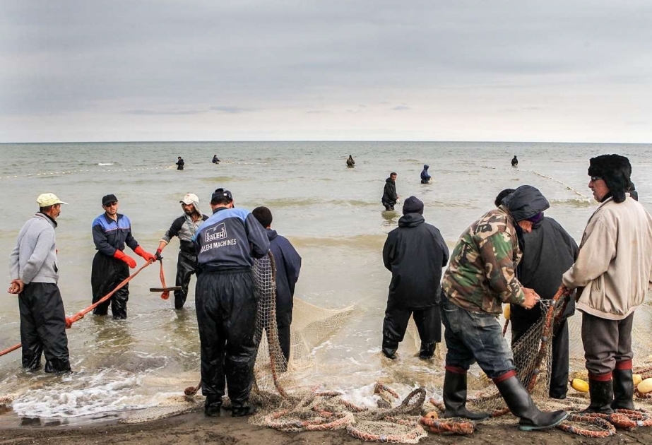 Sel İranın balıqçılıq təsərrüfatına 95 milyon dollar ziyan vurub