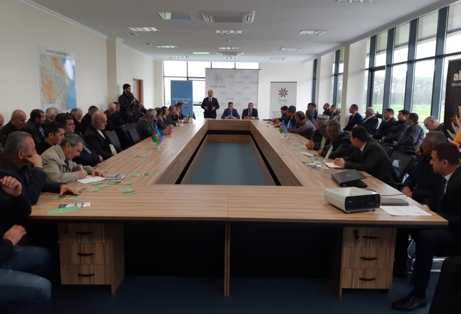 Masallıda 31 sahibkara 719 min manat güzəştli kredit verilib