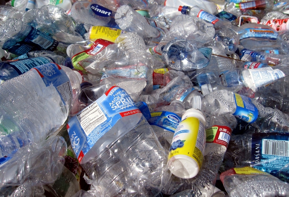 Ученые нашли экологичную и прочную альтернативу пластику