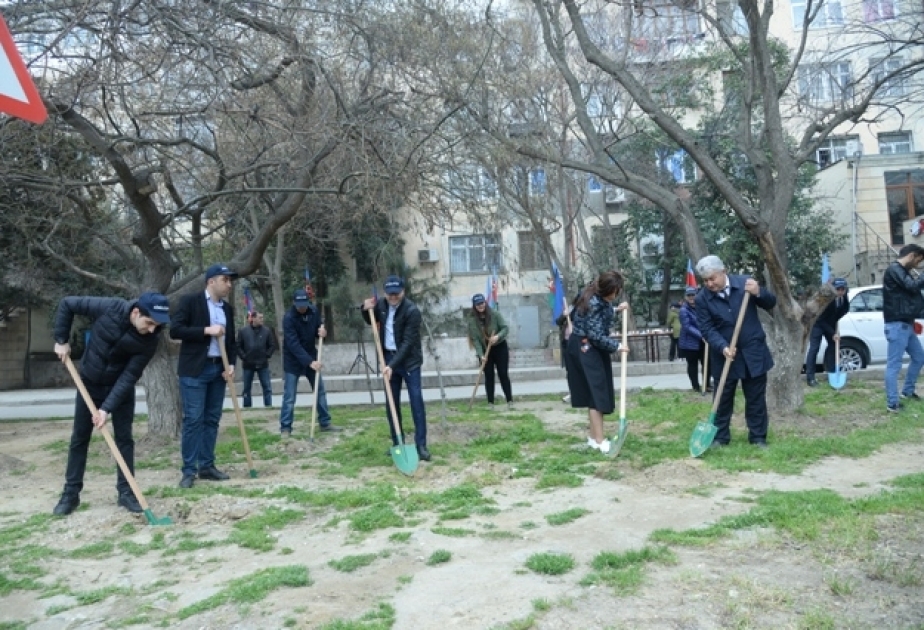 Nəsimi rayonunda ölkəmizdə keçirilən Prezident seçkilərinin 1 illiyinə həsr olunan ağacəkmə aksiyası keçirilib