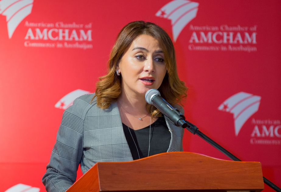 AmCham поддерживает инициативу реформирования судебно-правовой системы в Азербайджане