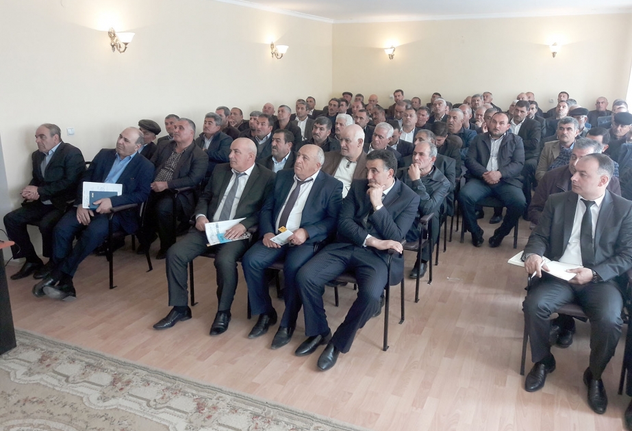 Ağcabədidə Türkiyədən gətirilən pambıq sortları becəriləcək