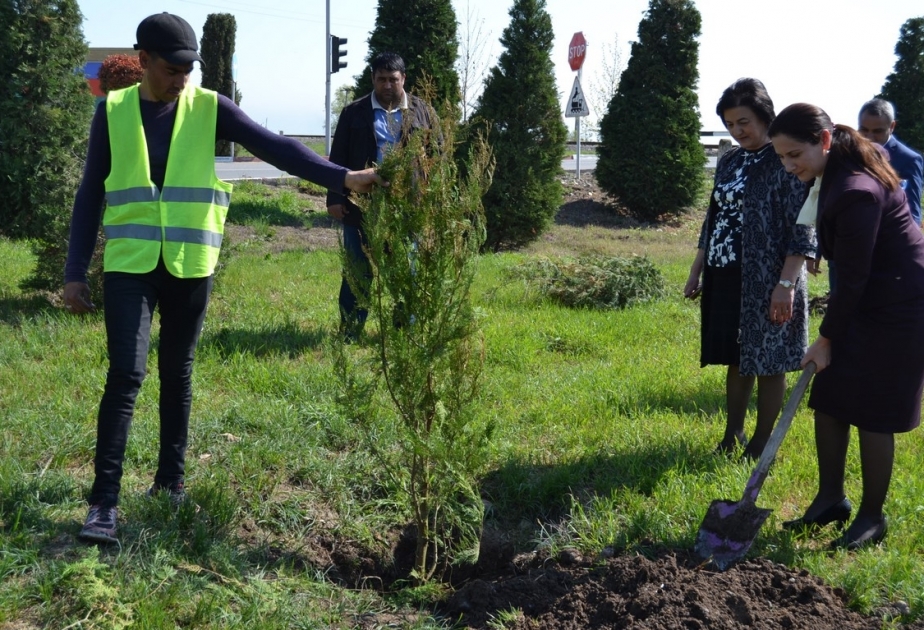 Füzuli rayonunda 10 milyonuncu sakinin dünyaya gəlməsi münasibətilə ağacəkmə aksiyası keçirilib