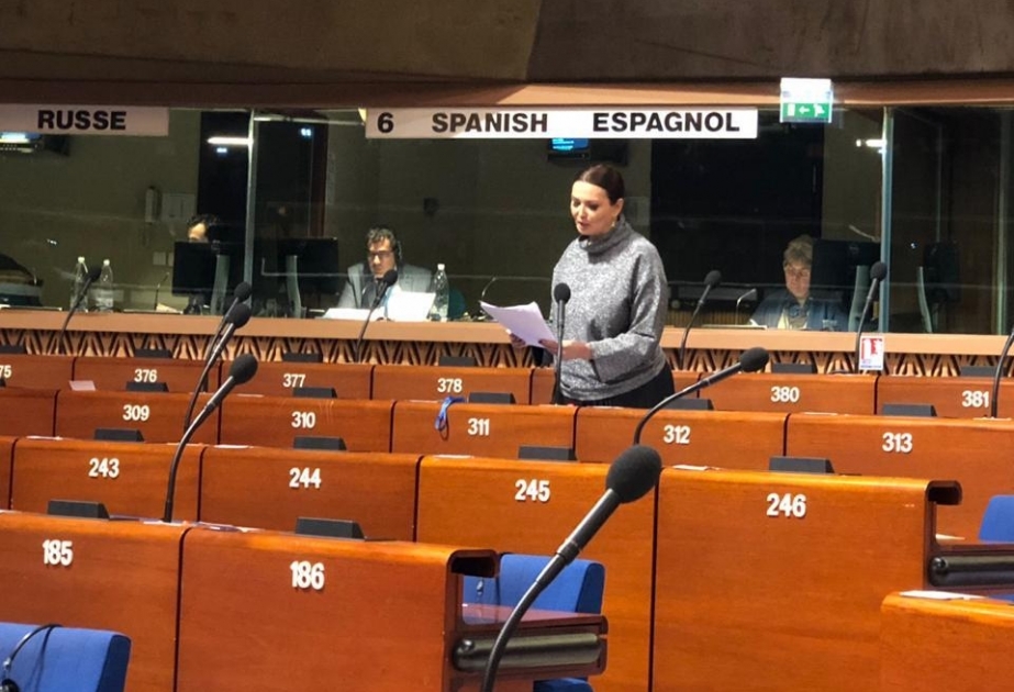 Milli Məclisin deputatı Avropa Şurasını Ermənistana təzyiq göstərməməkdə ittiham edib