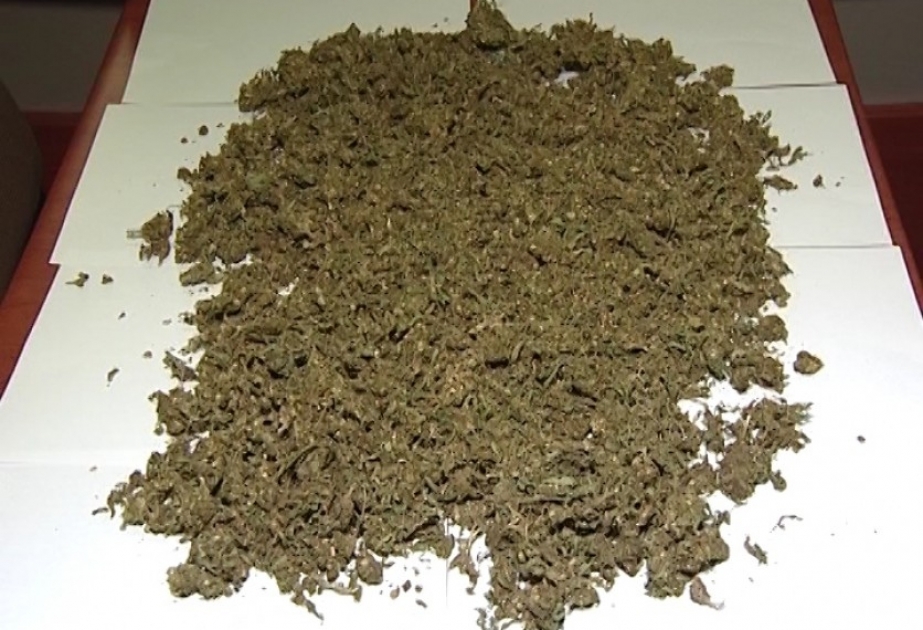 Gəncə şəhər sakininin yaşadığı evdə 1 kiloqram 350 qrama yaxın marixuana aşkarlanıb