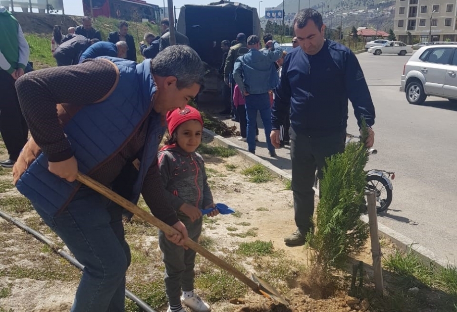 “Jurnalistlər binası”nın qarşısında keçirilən ağacəkmə aksiyası zamanı 300 ağac əkilib