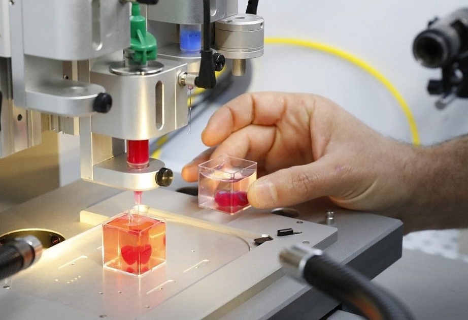 İsrail alimləri pasiyentin hüceyrələrindən 3D formatında ürək hazırlayıblar