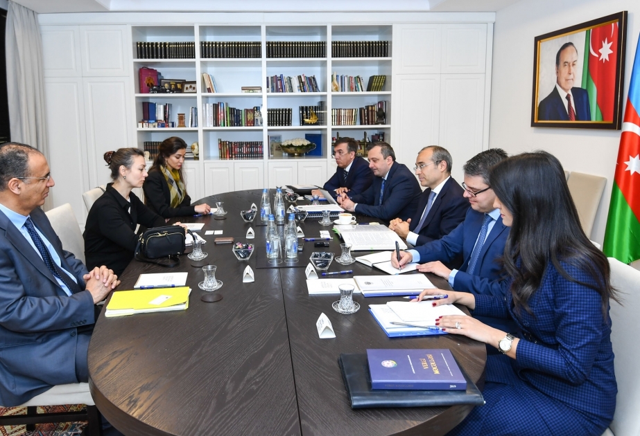 阿塞拜疆税务部部长会见国际货币基金组织驻阿塞拜疆特派团新任团长