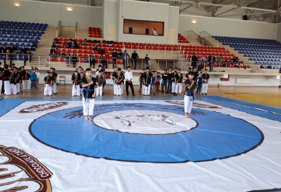Alpaqut Turan döyüş sənəti üzrə Gəncəbasar regional açıq birinciliyi keçilib