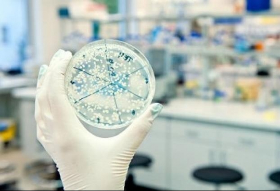 Ученые рассказали, как помочь антибиотикам в борьбе с резистентными бактериями