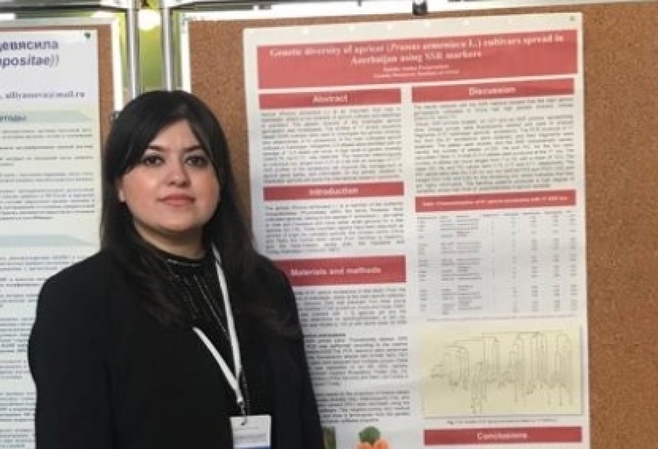 Azərbaycanlı doktorant Rusiyada elmi konfransda sertifikata layiq görülüb