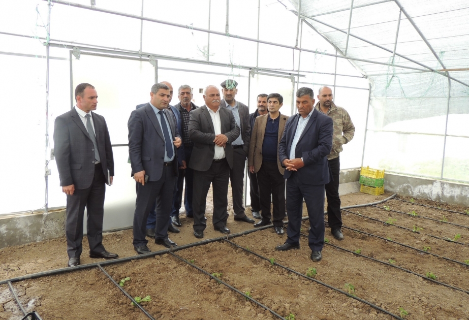 Cocuq Mərcanlıda Aqrar elm günü keçirilib