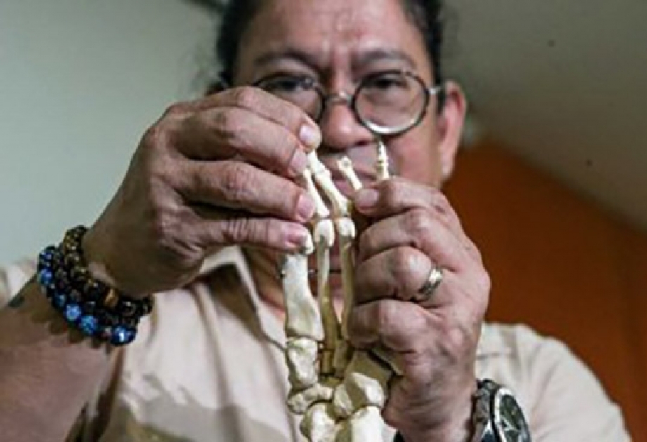 Останки нового для науки вида людей нашли на Филиппинах