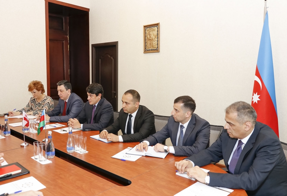 Gürcüstanın xarici işlər nazirinin müavini Diasporla İş üzrə Dövlət Komitəsində olub